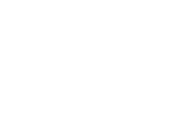 Rednershop Logo weiß